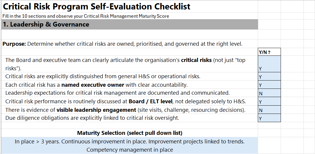 Critical Risk Program Self-Evaluation Tool